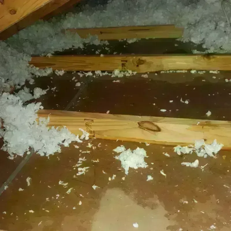 Attic Water Damage in Jericho, VT